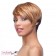 SIMPLY LACE WILLOW